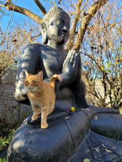 2m sitzender Buddha aus Lavaguss